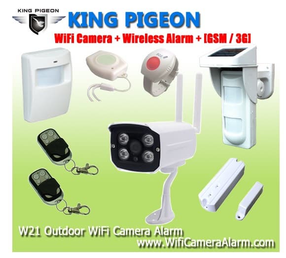 wireless gsm Outdoor dome camera W21
